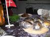 photo_552_t1.jpg
