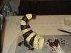 img_0867_t1.jpg